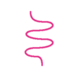Gut & Digestive Health Icon
